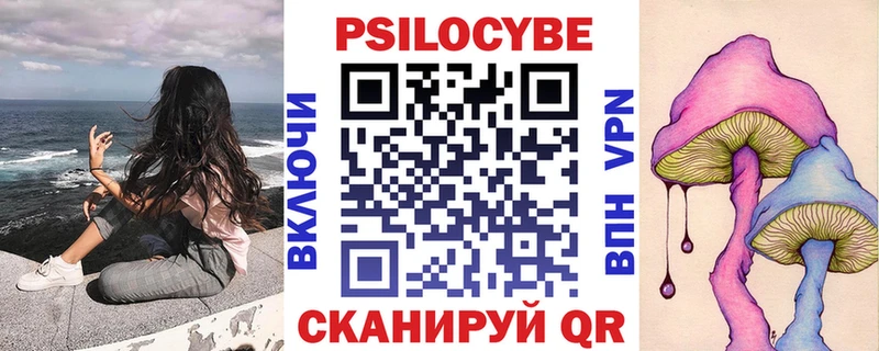 Псилоцибиновые грибы Cubensis Зеленогорск